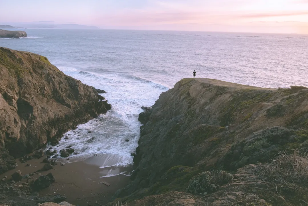 Where Off-Leash Access Is Actually Permitted (Image Credits: Unsplash)