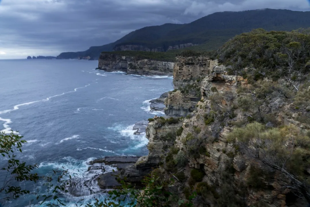 The Real Risks of Walking in Wild Tasmania (Image Credits: Unsplash)