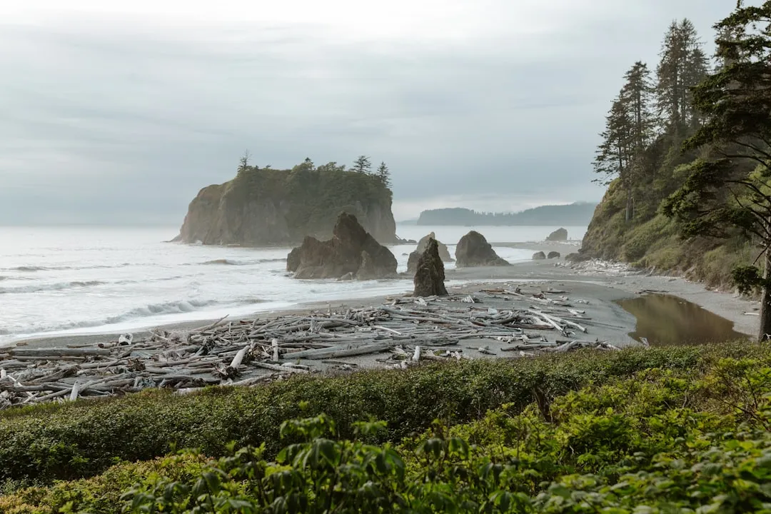 Olympic National Park Is Genuinely Three Parks in One (Image Credits: Unsplash)