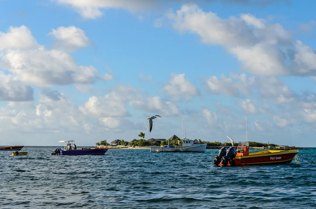 The Case for Anguilla: 33 Beaches, Almost No Crowds (Image Credits: Unsplash)