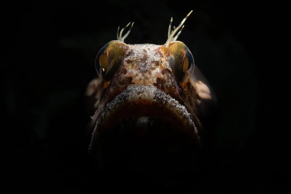 Nocturnal Species Flip the Schedule (Image Credits: Pexels)