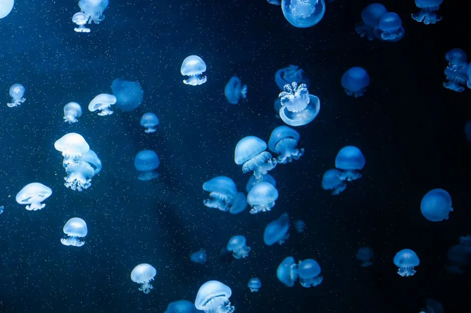 Why the Water Lights Up When You Move It (Image Credits: Pexels)
