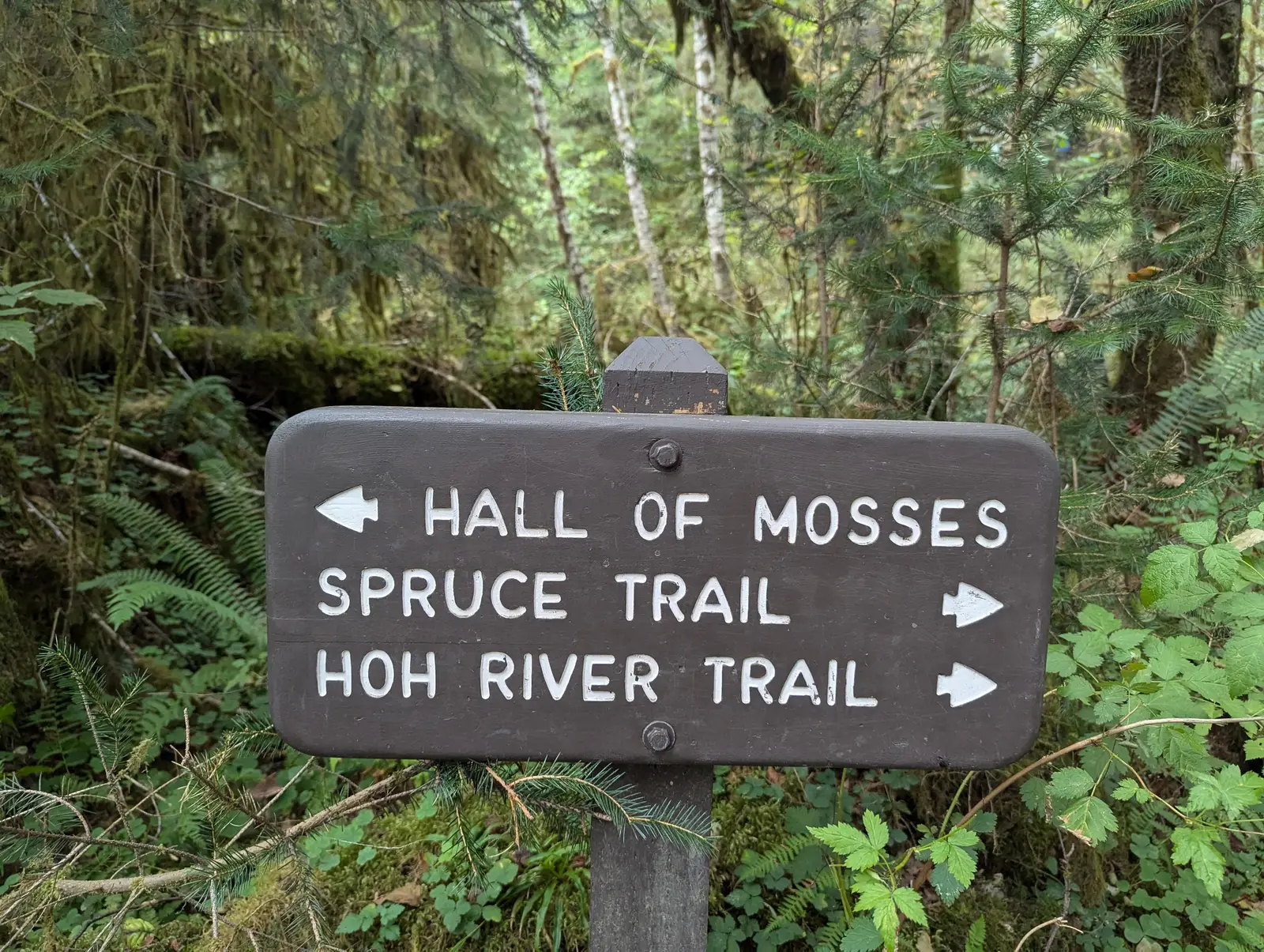 The UNESCO Designation Reflects What Locals Already Know (By Roller Coaster Philosophy, CC BY 2.0)