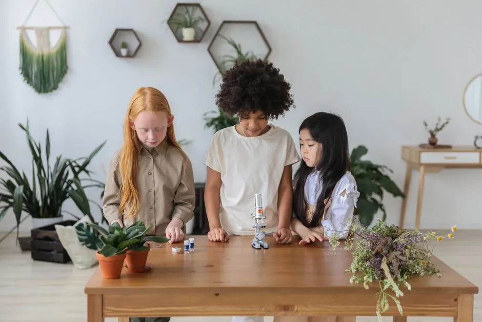 The Science and STEM Programming Often Goes Completely Unnoticed (Image Credits: Pexels)