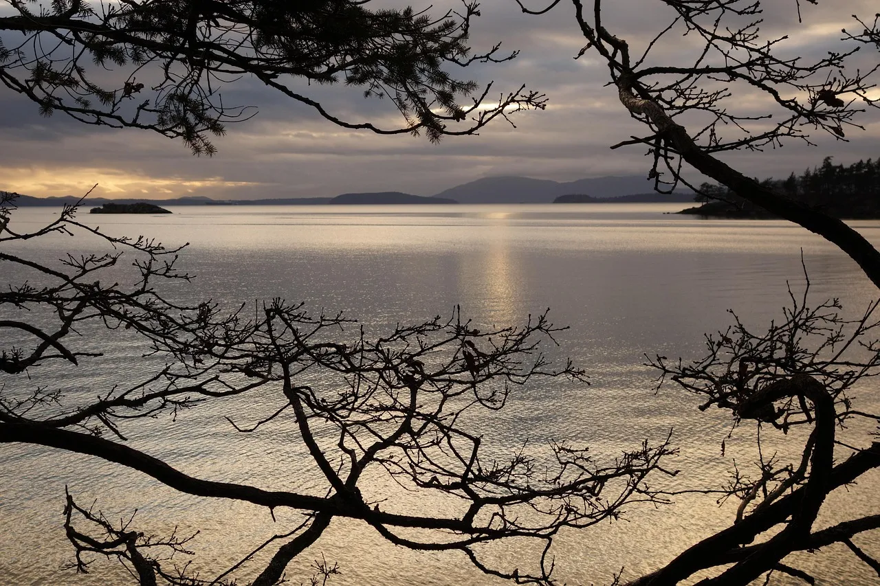 The Chuckanut Drive Forest Cabin, Washington (Image Credits: Pixabay)