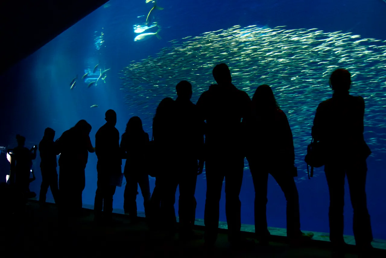 The Late Evening Option That Most Visitors Overlook (By Cam Vilay, CC BY 2.0)