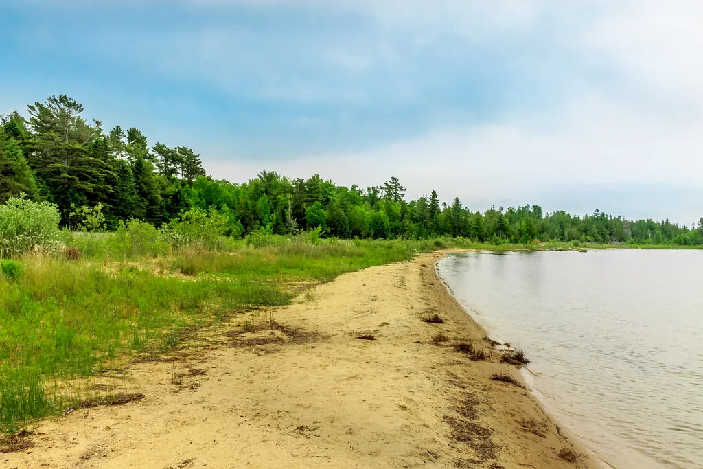 The Rare Ecology Living Between the Sand (Always Shooting, Flickr, CC BY 2.0)