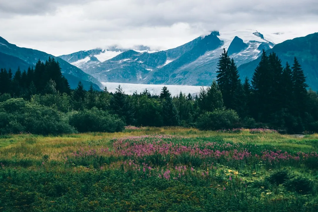 4. Alaska: Early Fall Before the Cold Settles In (Image Credits: Unsplash)
