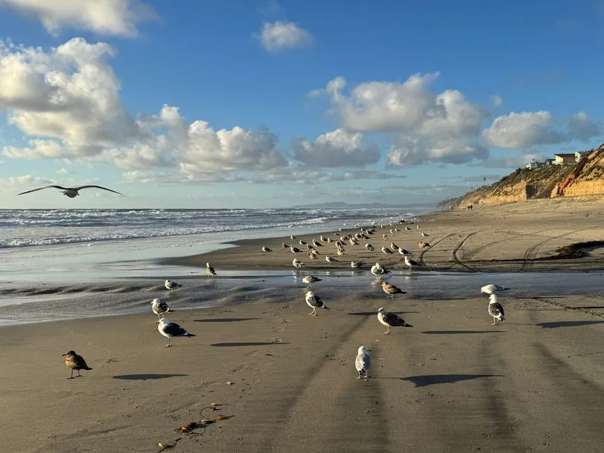 Encinitas, California: Top-Ranked Nationally for Coastal Families (Image Credits: Pexels)