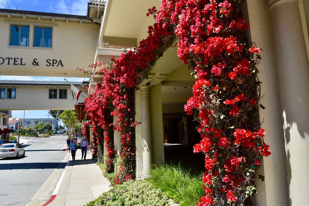 Flowers Actually Influence How Guests Feel (nick.amoscato, Flickr, CC BY 2.0)