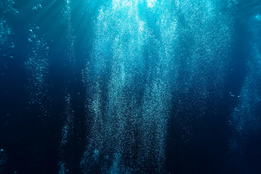 Cold Seeps and Oxygen Minimum Zones in the Same Canyon (Image Credits: Unsplash)