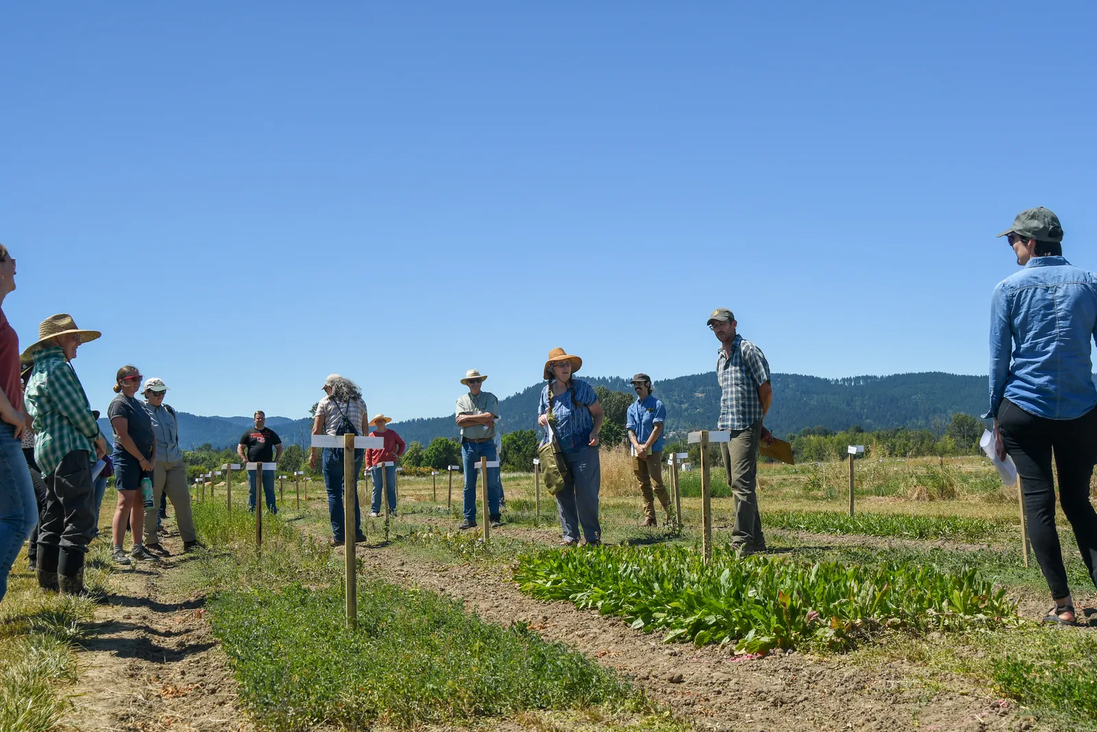 The Experiential Travel Boom Behind It All (By NRCS Oregon, CC BY 2.0)