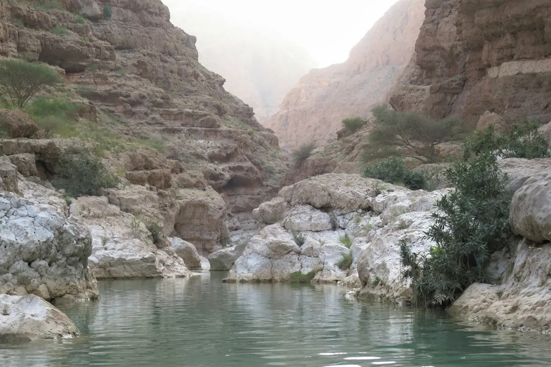 Swimming Through Wadi Shab (Image Credits: Unsplash)