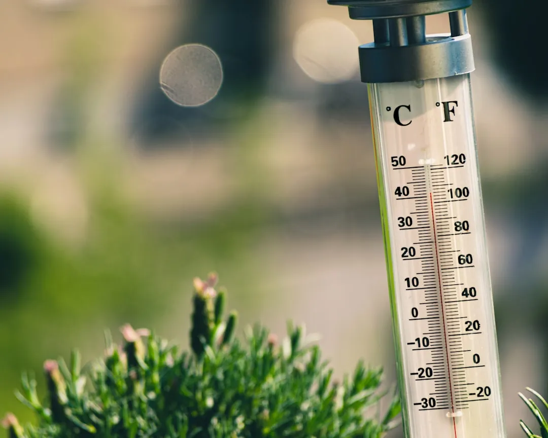 What the Thermometer Actually Says in Summer (Image Credits: Unsplash)