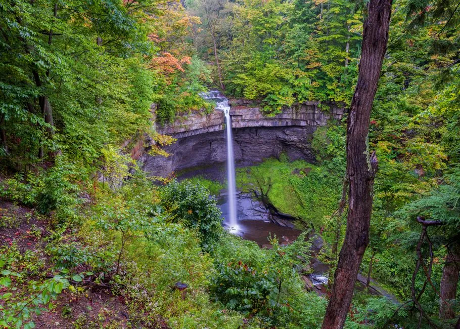 8. Finger Lakes National Forest, New York (Image Credits: Pexels)