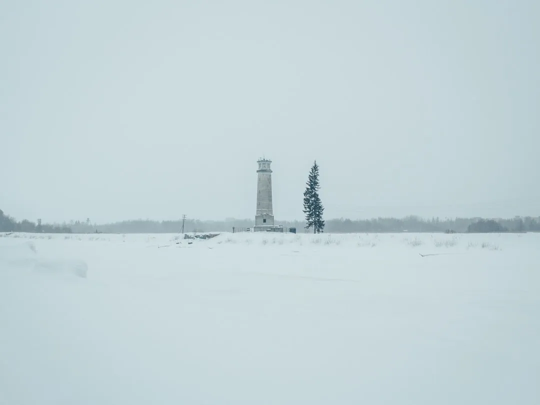 Winter: For the Bold, Not the Clear-View Seeker (Image Credits: Unsplash)