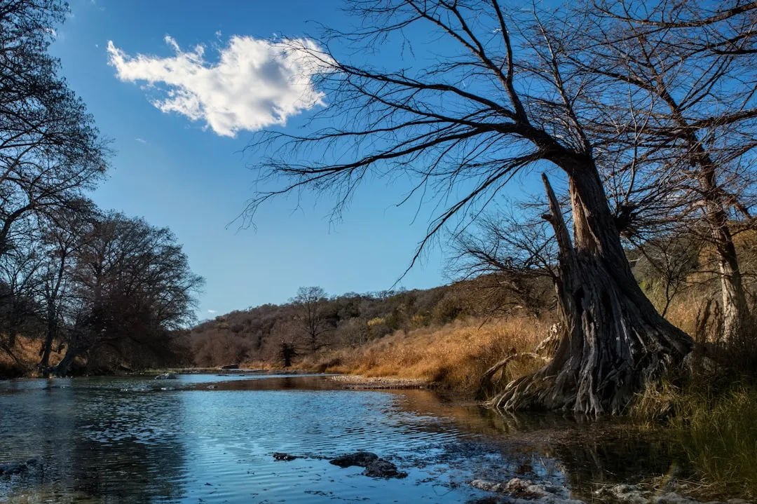 Johnson City: LBJ Country and a Growing Arts Scene (Image Credits: Unsplash)