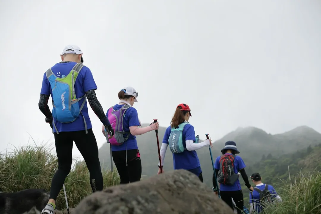 Trekking Poles (Image Credits: Unsplash)