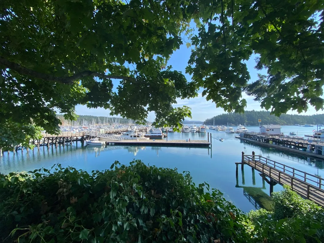 The Churchill and Carter Wharves of Friday Harbor (Image Credits: Unsplash)