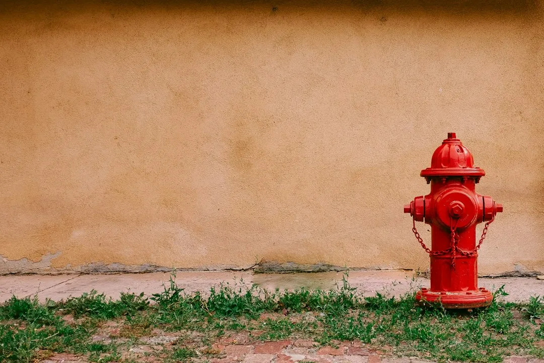 Placement Follows a Careful Logic (Image Credits: Unsplash)