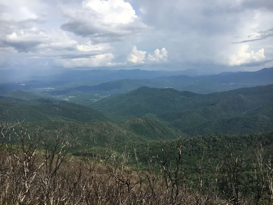 4. Nantahala National Forest, North Carolina (Image Credits: Unsplash)