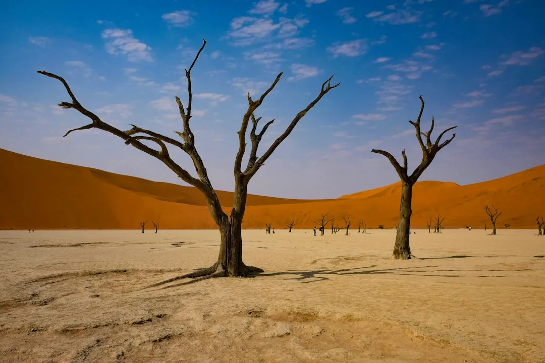 The Haunting Beauty of Deadvlei (Image Credits: Unsplash)