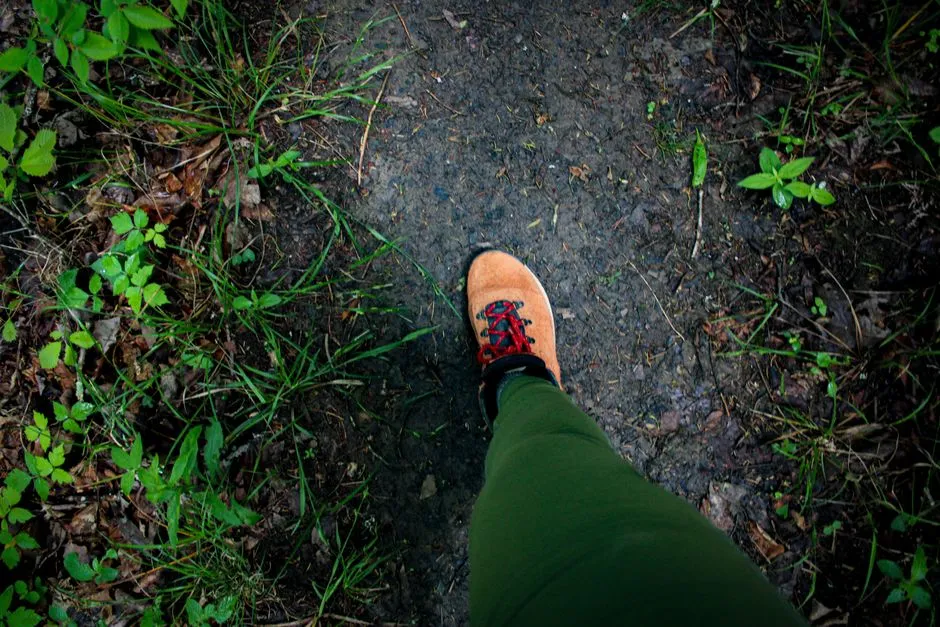A Trail Network That Rewards Curious Visitors (Image Credits: Pexels)