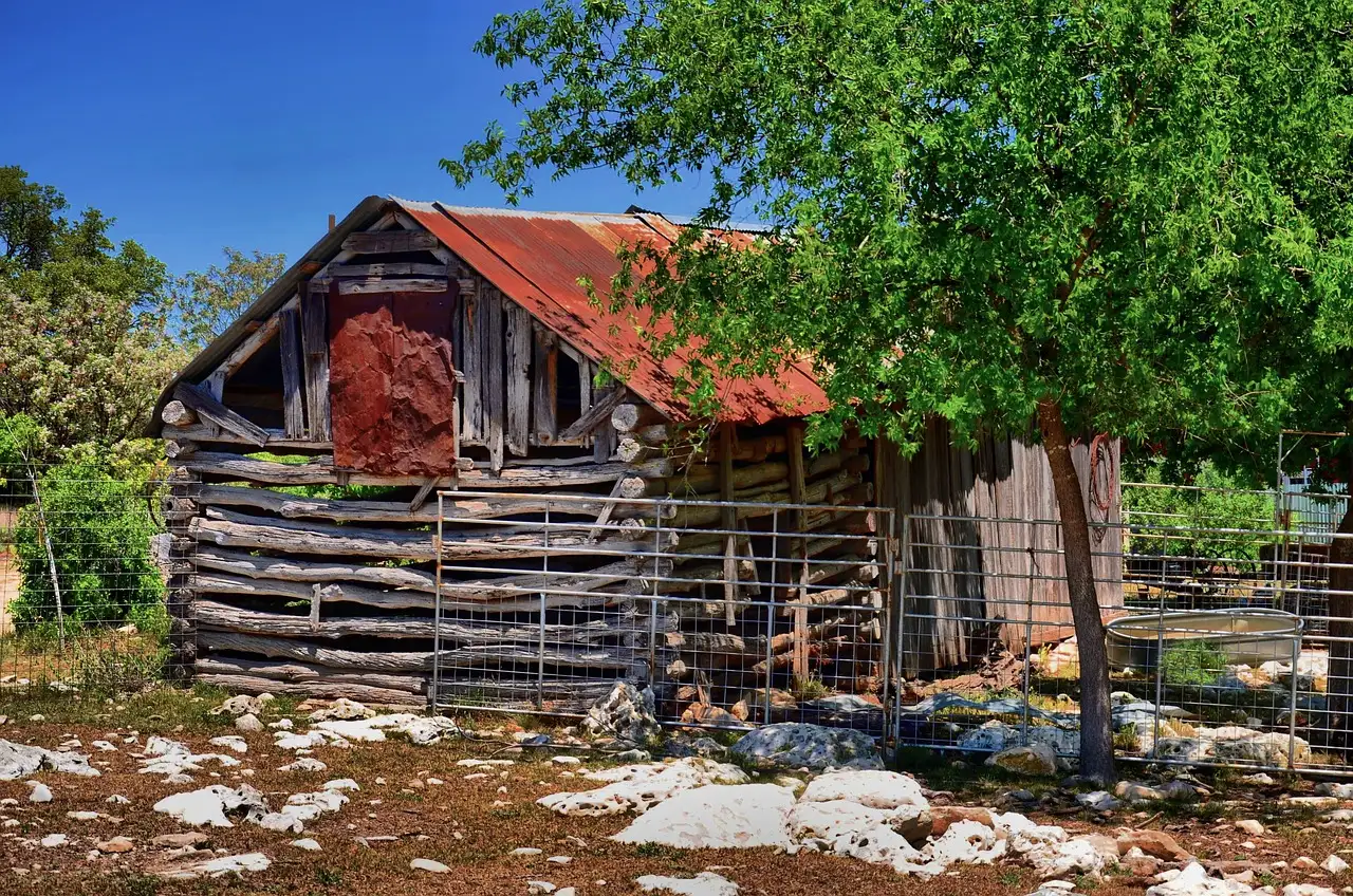 Where German Heritage Meets Texas Charm (Image Credits: Pixabay)