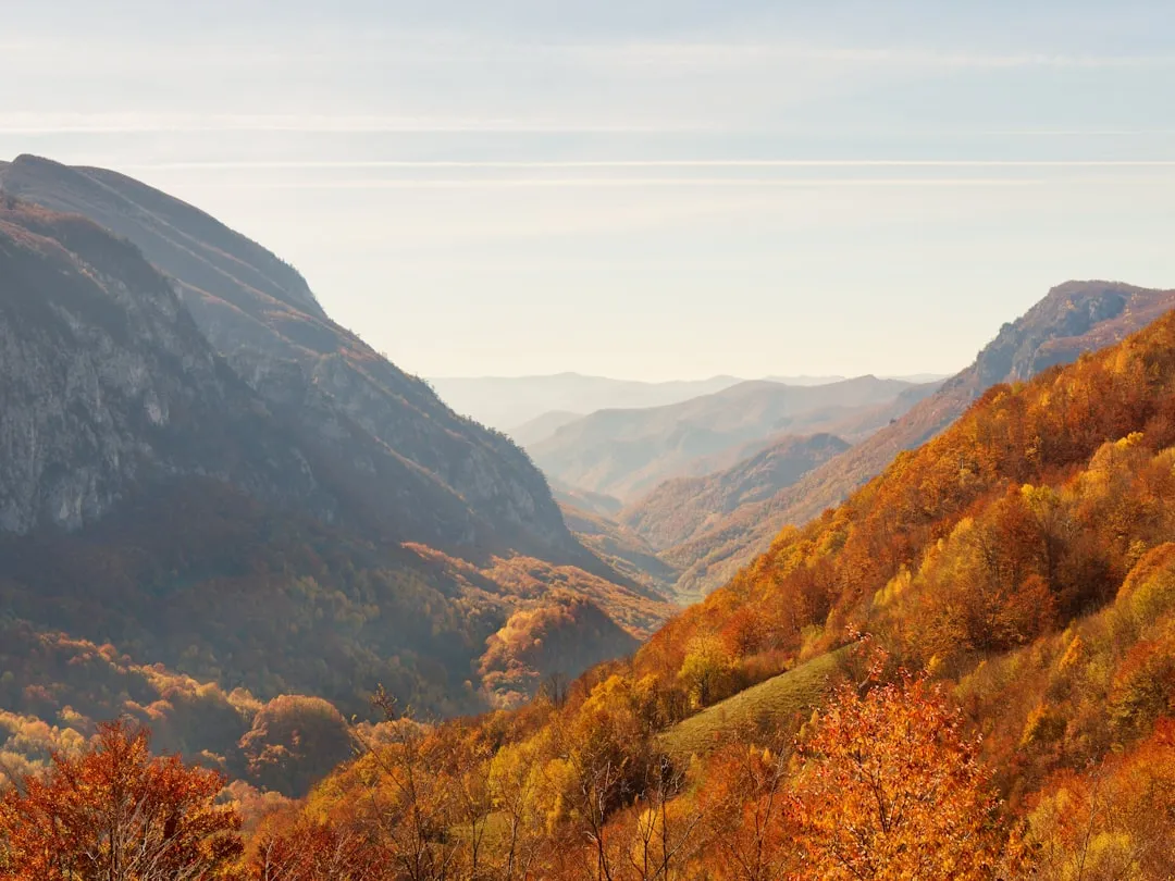 Every Season Has Something Real to Offer (Image Credits: Unsplash)