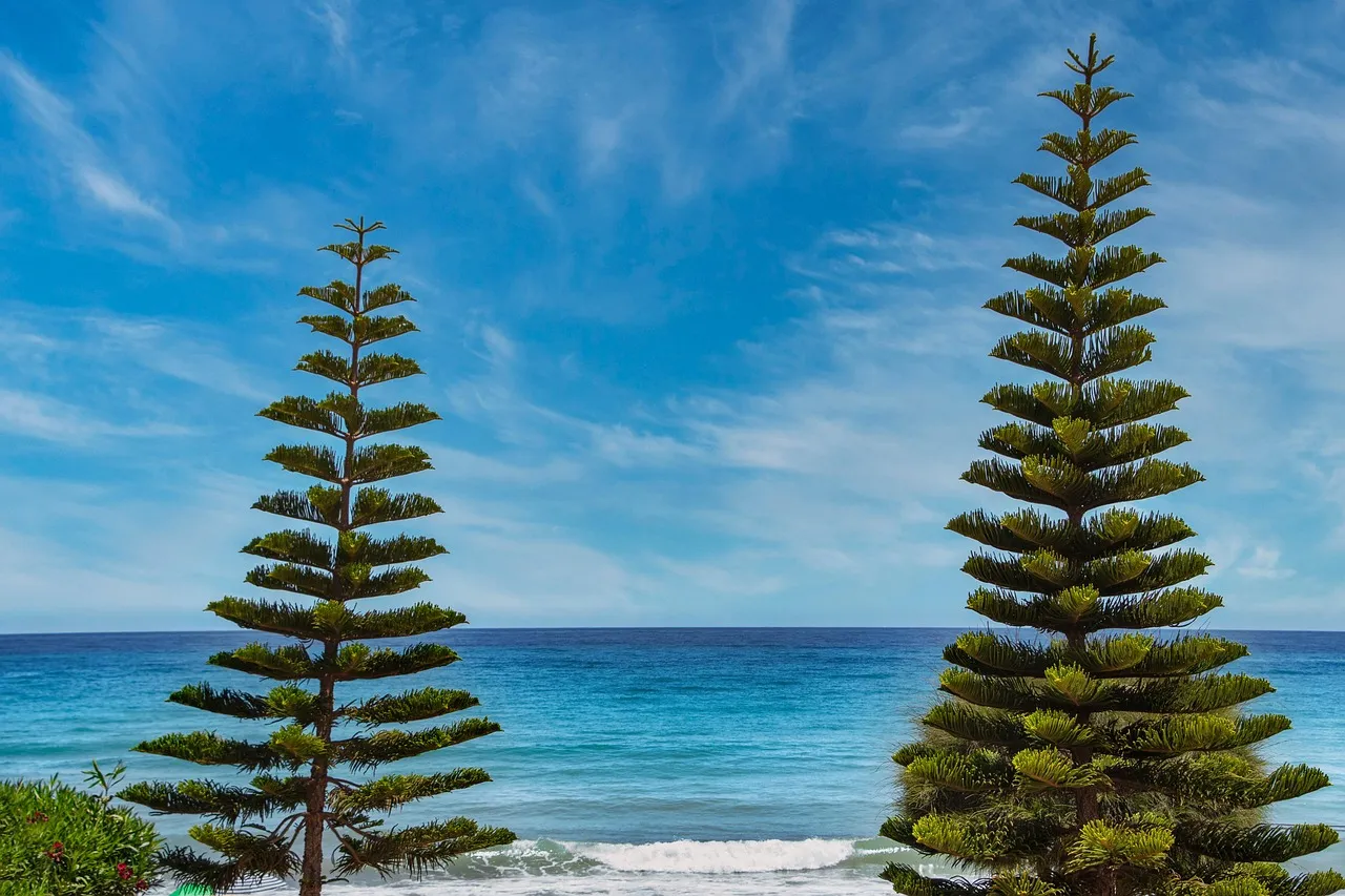 Pine Beach: The Hidden Trail to Solitude (Image Credits: Pixabay)
