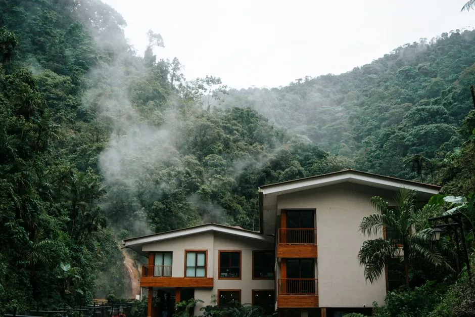 What Actually Makes a Rainforest Eco-Lodge Different (Image Credits: Pexels)