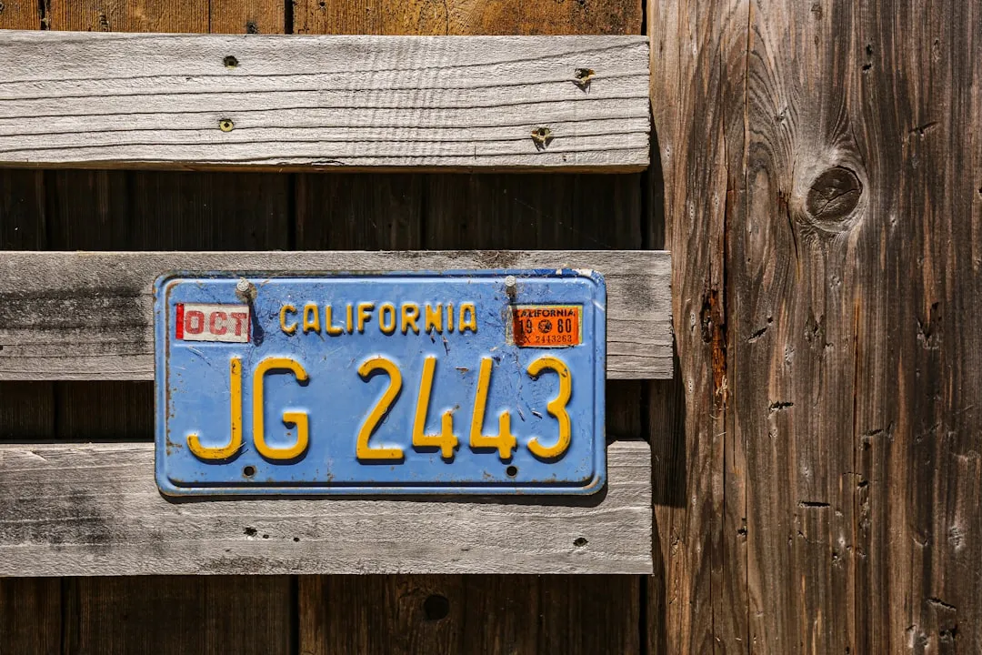 1. The License Plate Game (Image Credits: Unsplash)