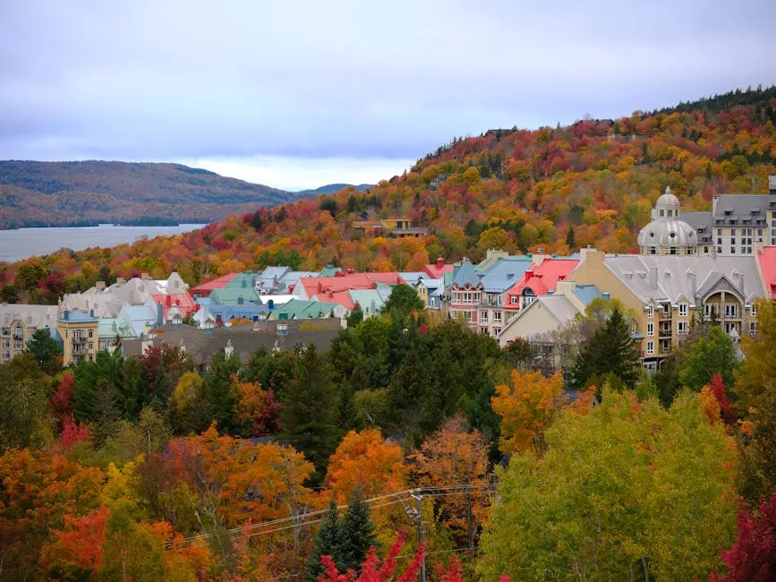 How to Choose Between These Five Towns (Image Credits: Pexels)