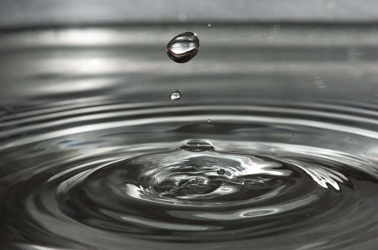 The Water Tank Test That Proved It Beyond Doubt (Image Credits: Pixabay)