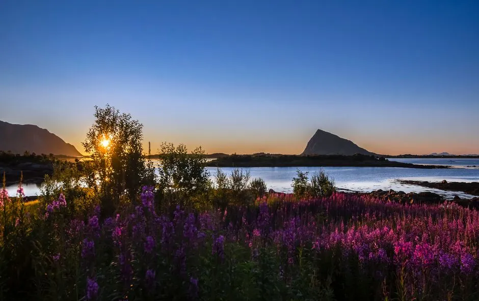 Practical Tips for Planning a Midnight Sun Journey (Image Credits: Pexels)