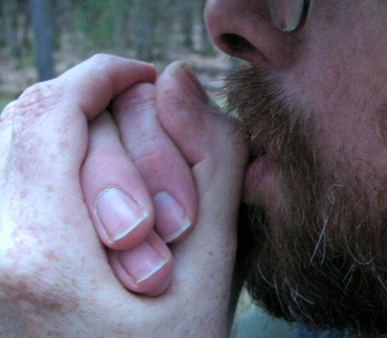 The Whistle Is the Real Signal (By Jomegat, CC BY-SA 3.0)