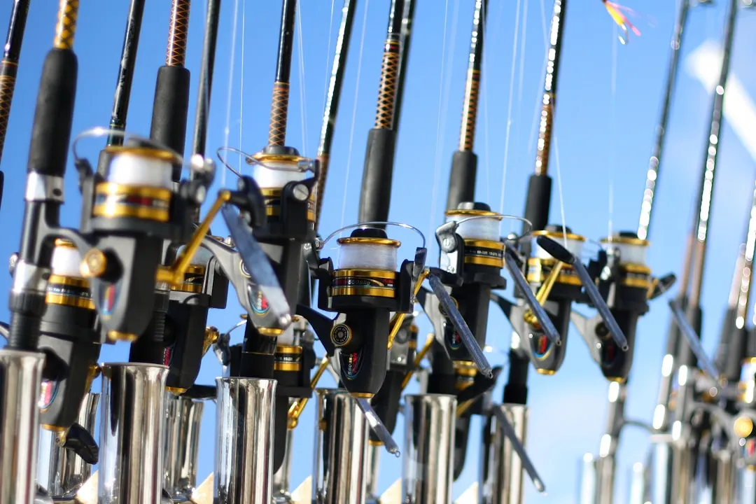 Summer Events: Music, Boat Races, and Festival Culture (Image Credits: Unsplash)