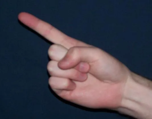 Pointing With the Index Finger: Rude Across More Borders Than You'd Think (By Than Ball - Than217 at English Wikipedia, Public domain)