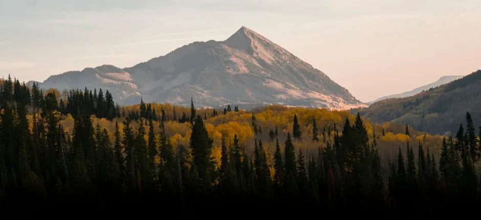 Fall Is Genuinely the Quietest Season Here (Image Credits: Pexels)