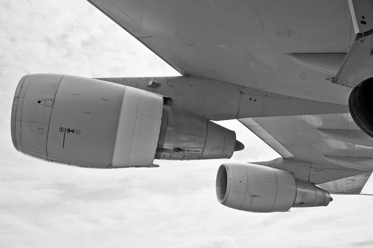 Touching the Plane Before Boarding (Image Credits: Pixabay)