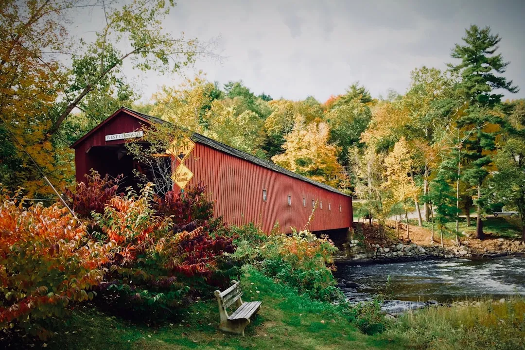 Why the Bridges Were Built This Way (Image Credits: Unsplash)