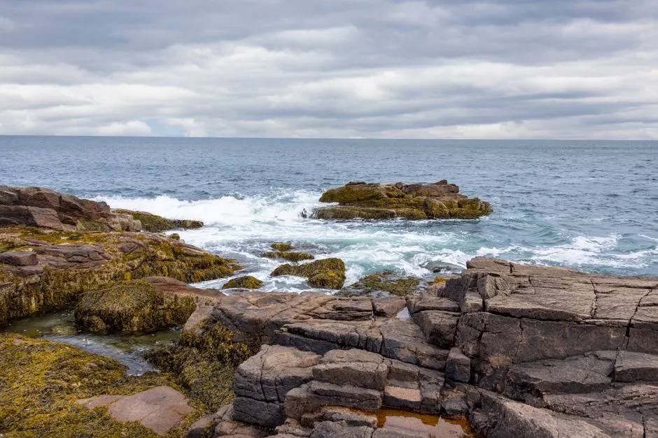 What's Drawing New Englanders Specifically (Image Credits: Pexels)