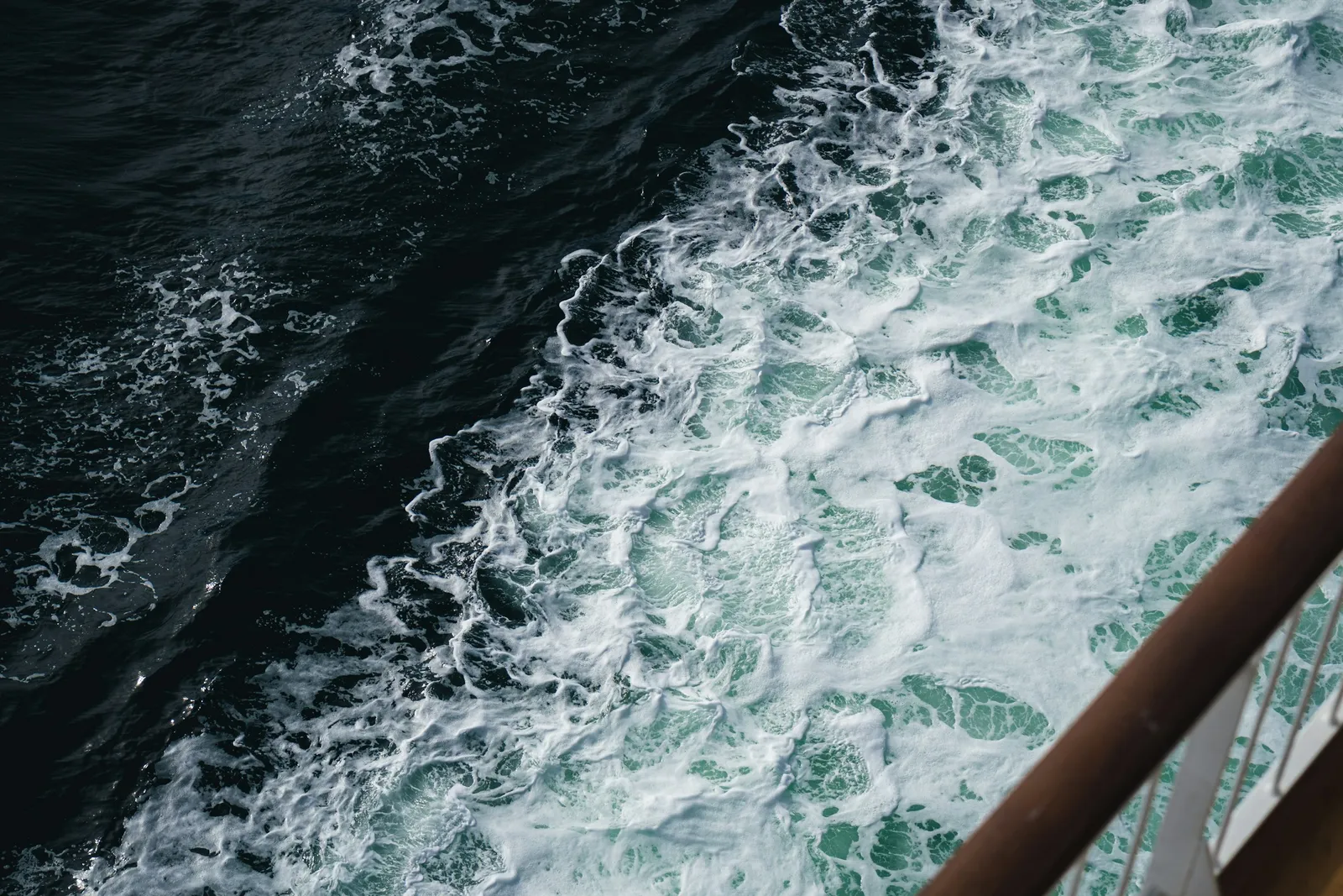 The Takeaway (Image Credits: Unsplash)