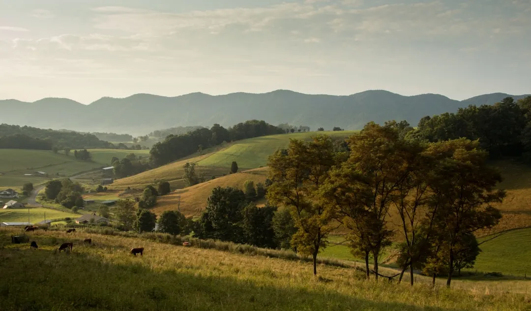 What Virginia's Broader Migration Trends Tell Us (Image Credits: Unsplash)