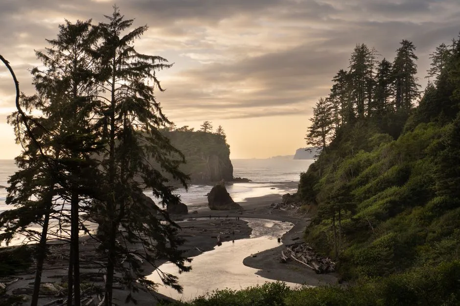 A Canyon Within Tribal Treaty Waters (Image Credits: Pexels)