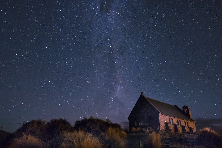 Protecting What's Left of the Night (Image Credits: Pexels)