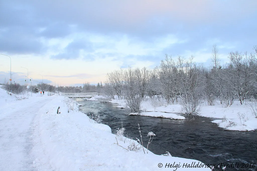 Spot 3: Elliðaárdalur Valley (Helgi Halldórsson/Freddi, Flickr, CC BY 2.0)