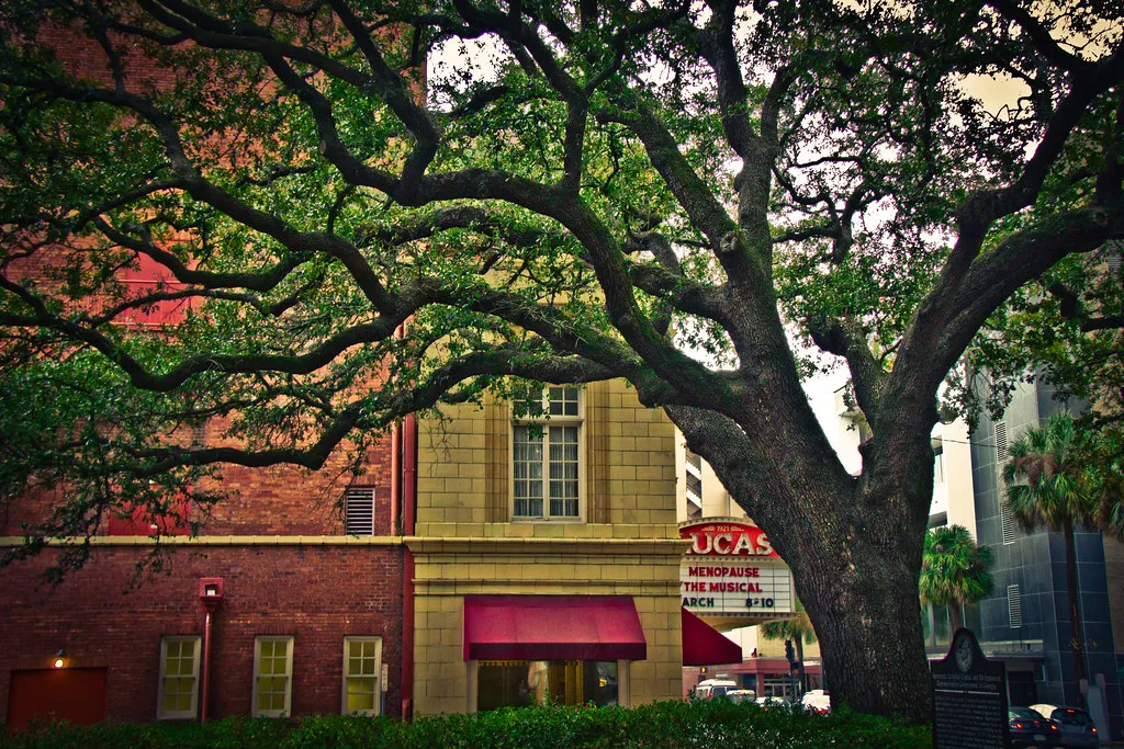 How to Walk the Squares Thoughtfully (Ryan Moyer, Flickr, CC BY 2.0)