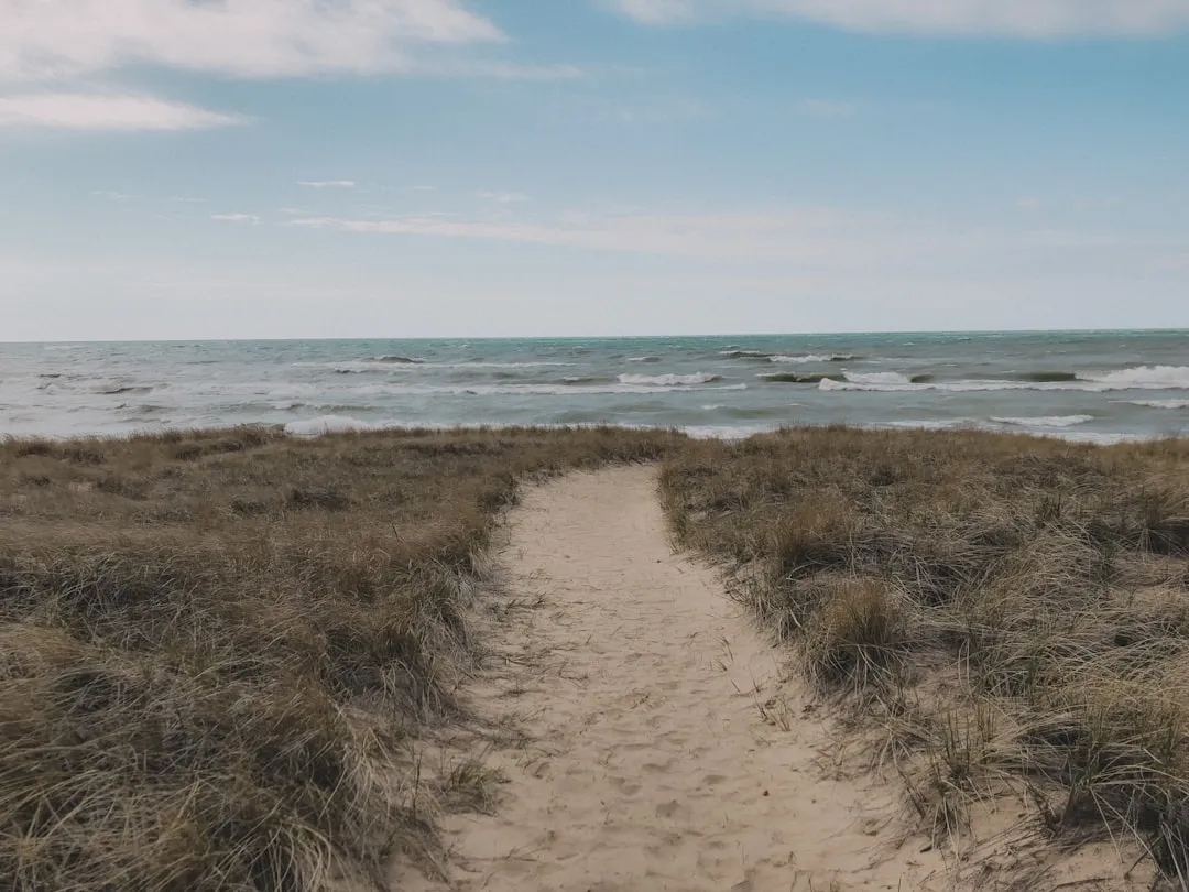 Indiana Dunes: A National Park Right on Chicago's Doorstep (Image Credits: Unsplash)