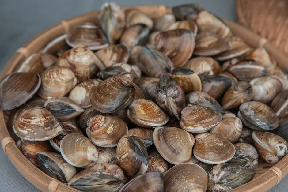 From Net Fishing to Clam Farming (Image Credits: Pexels)